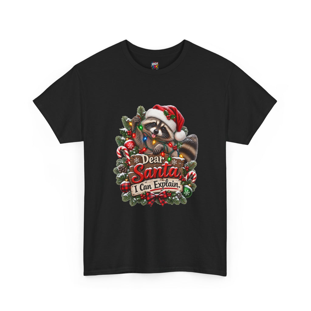 Dear Santa I Can Explain