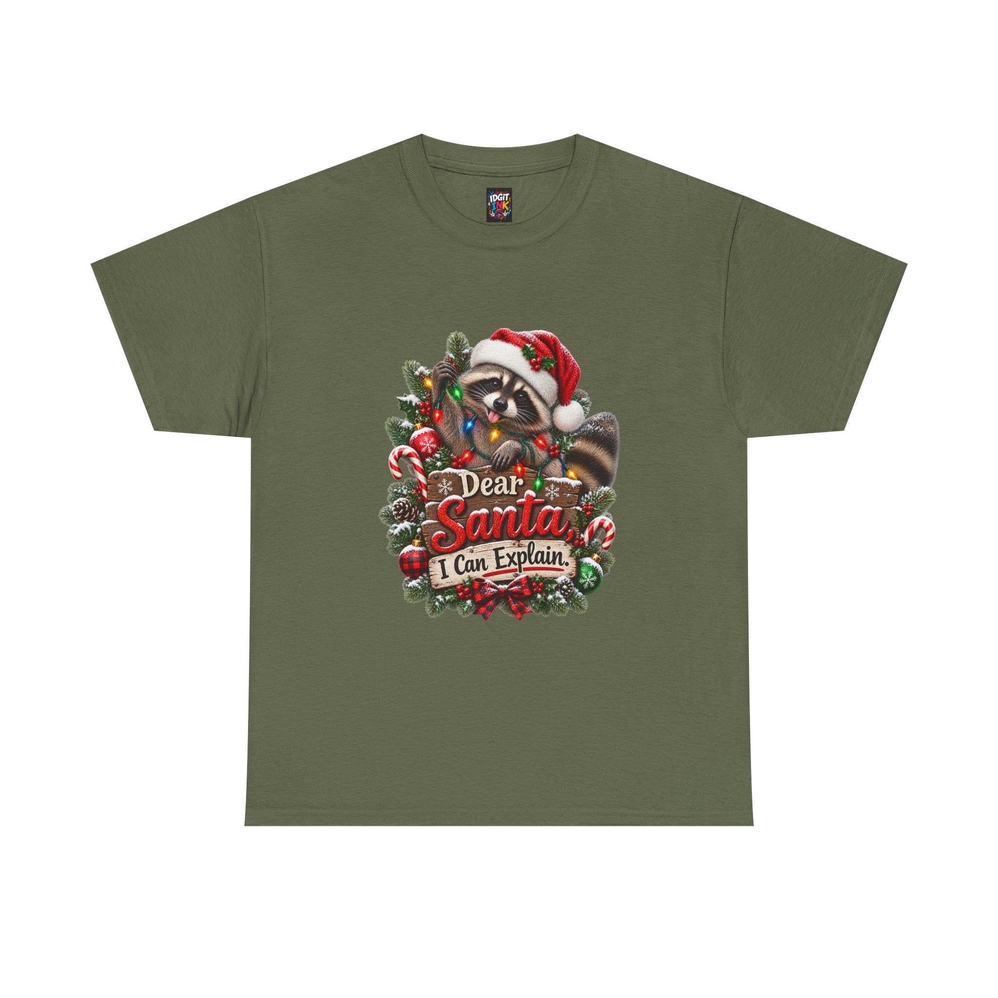 Dear Santa I Can Explain