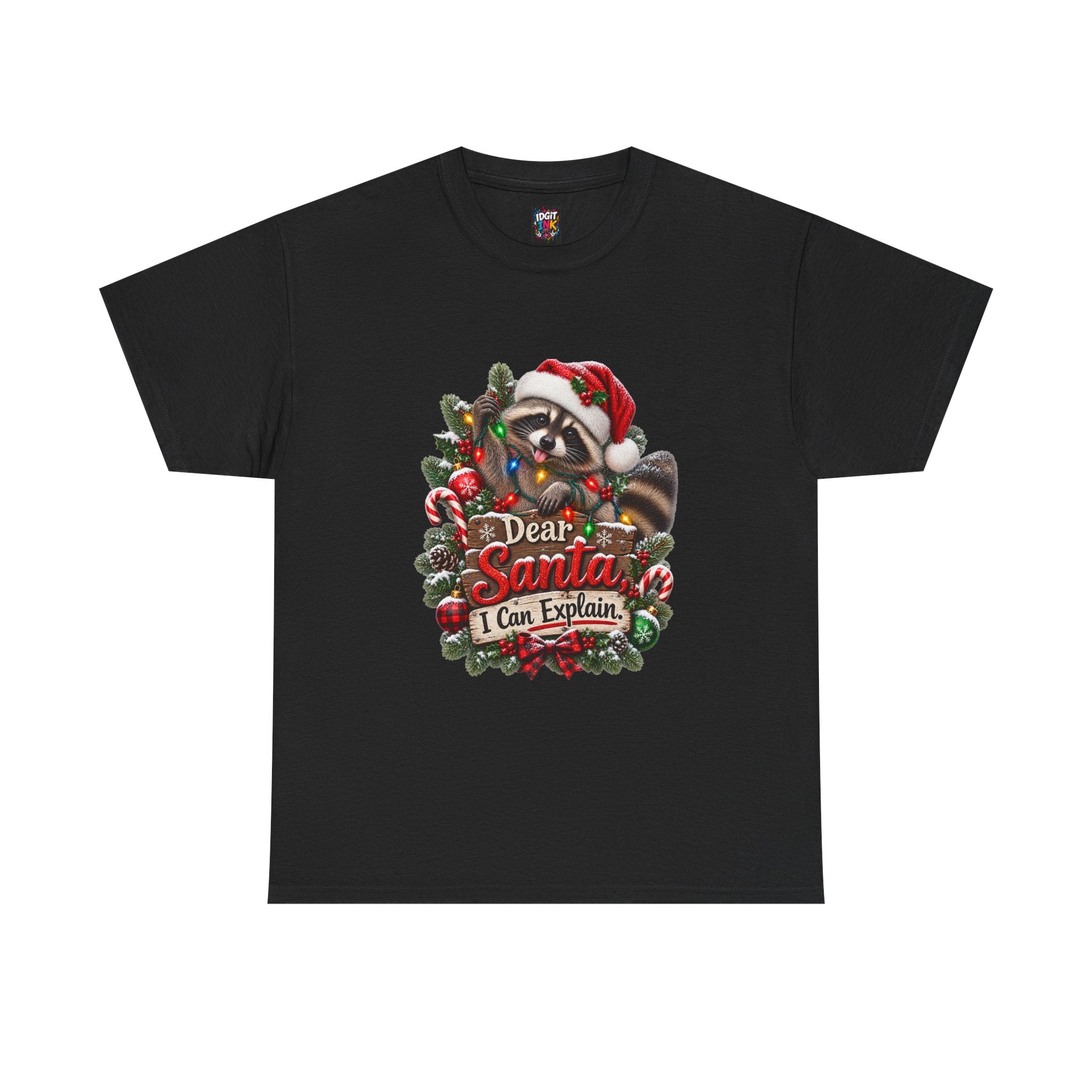 Dear Santa I Can Explain