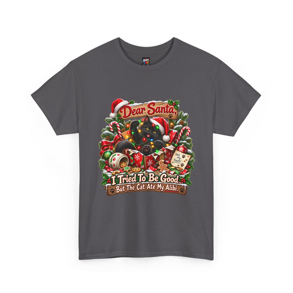 Dear Santa I Tried To Be Good