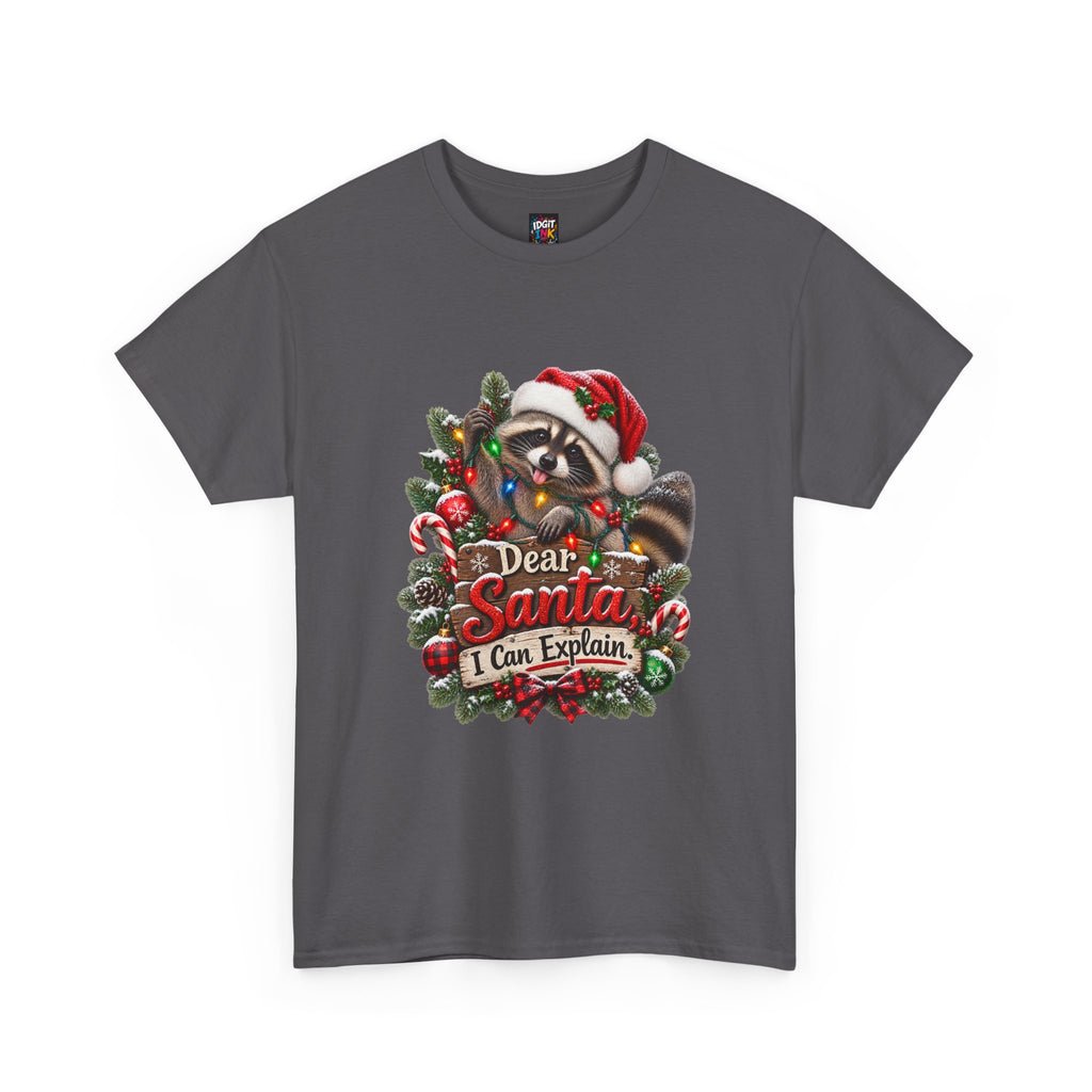 Dear Santa I Can Explain