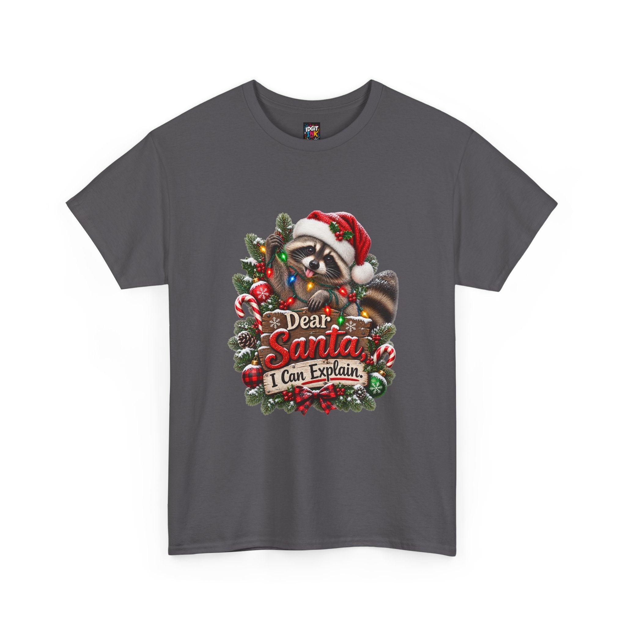 Dear Santa I Can Explain