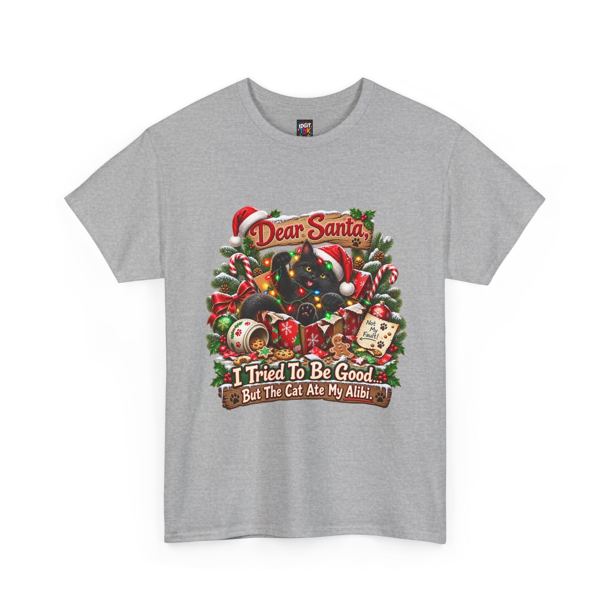 Dear Santa I Tried To Be Good