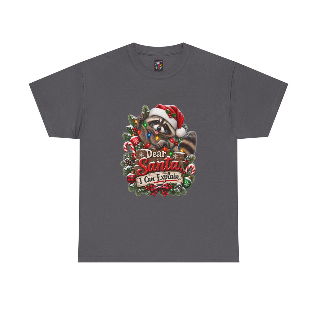 Dear Santa I Can Explain