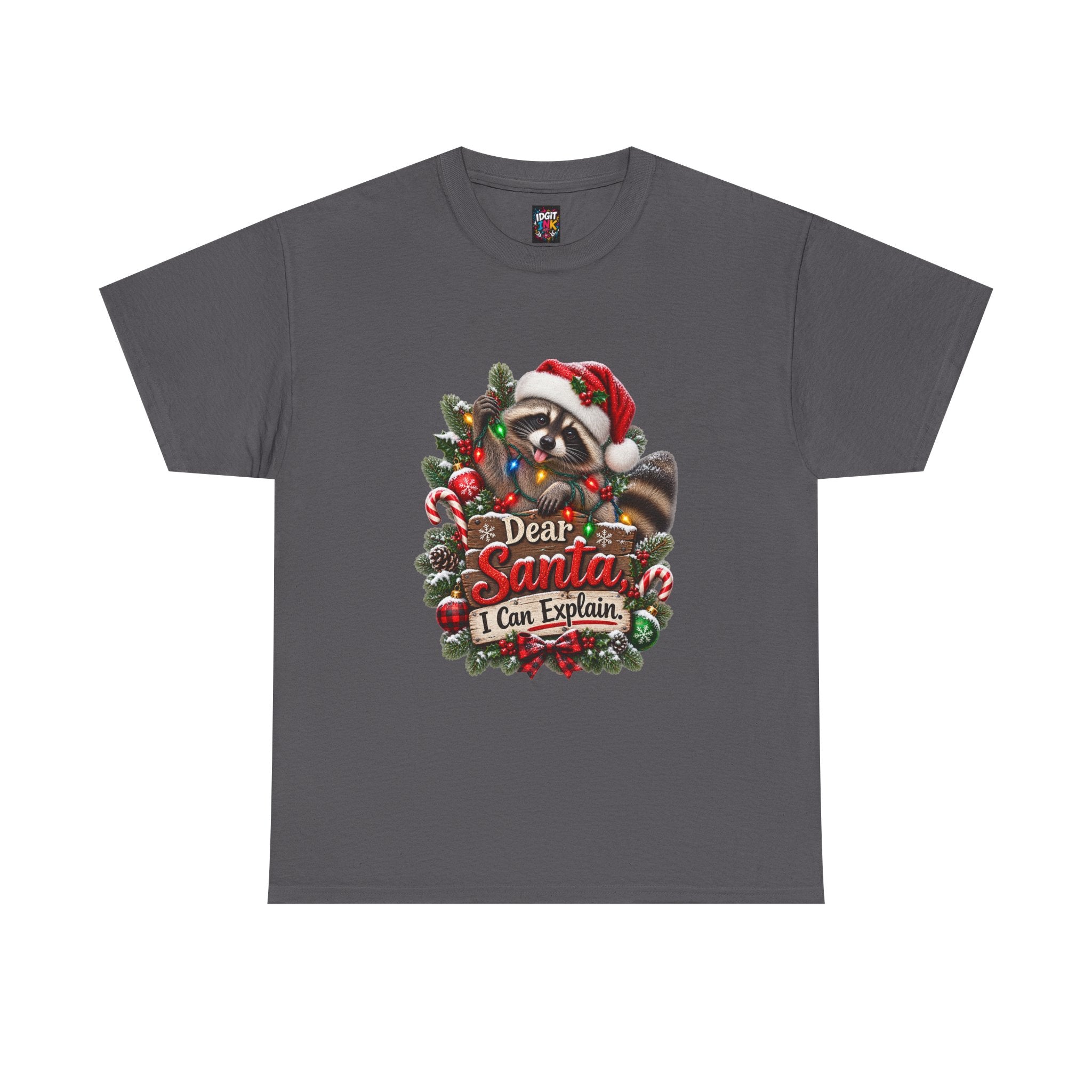 Dear Santa I Can Explain