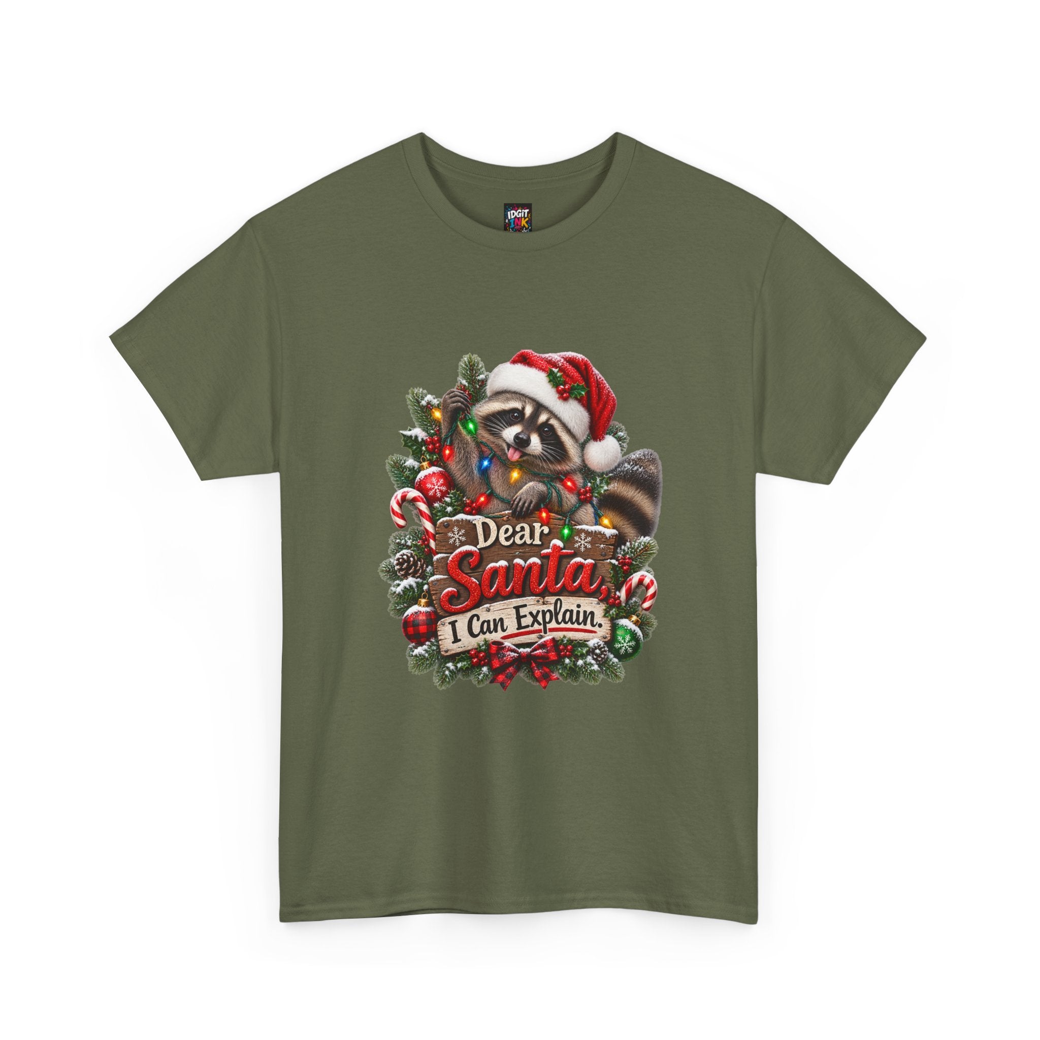 Dear Santa I Can Explain