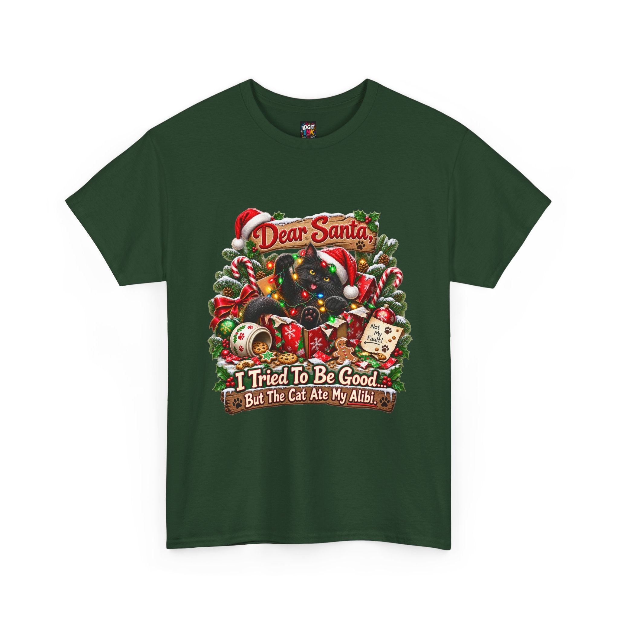 Dear Santa I Tried To Be Good