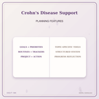 Idgit Ink Crohn's Disease Support deluxe journal and planner bundle — planner organization and planning features