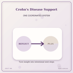 Idgit Ink Crohn's Disease Support deluxe journal and planner bundle — topic-specific benefits and use cases