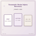 Idgit Ink Traumatic Brain Injury Recovery deluxe journal and planner bundle — digital formats and available page sizes
