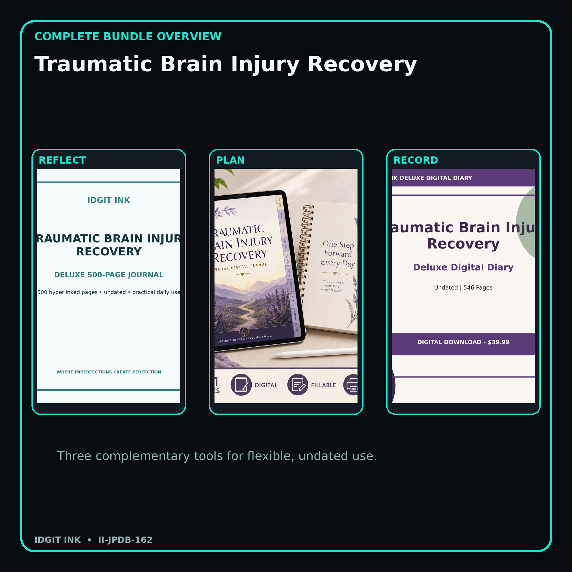 Traumatic Brain Injury Recovery complete three-product digital bundle overview