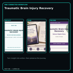 Traumatic Brain Injury Recovery connected journal planner diary workflow and customer benefits