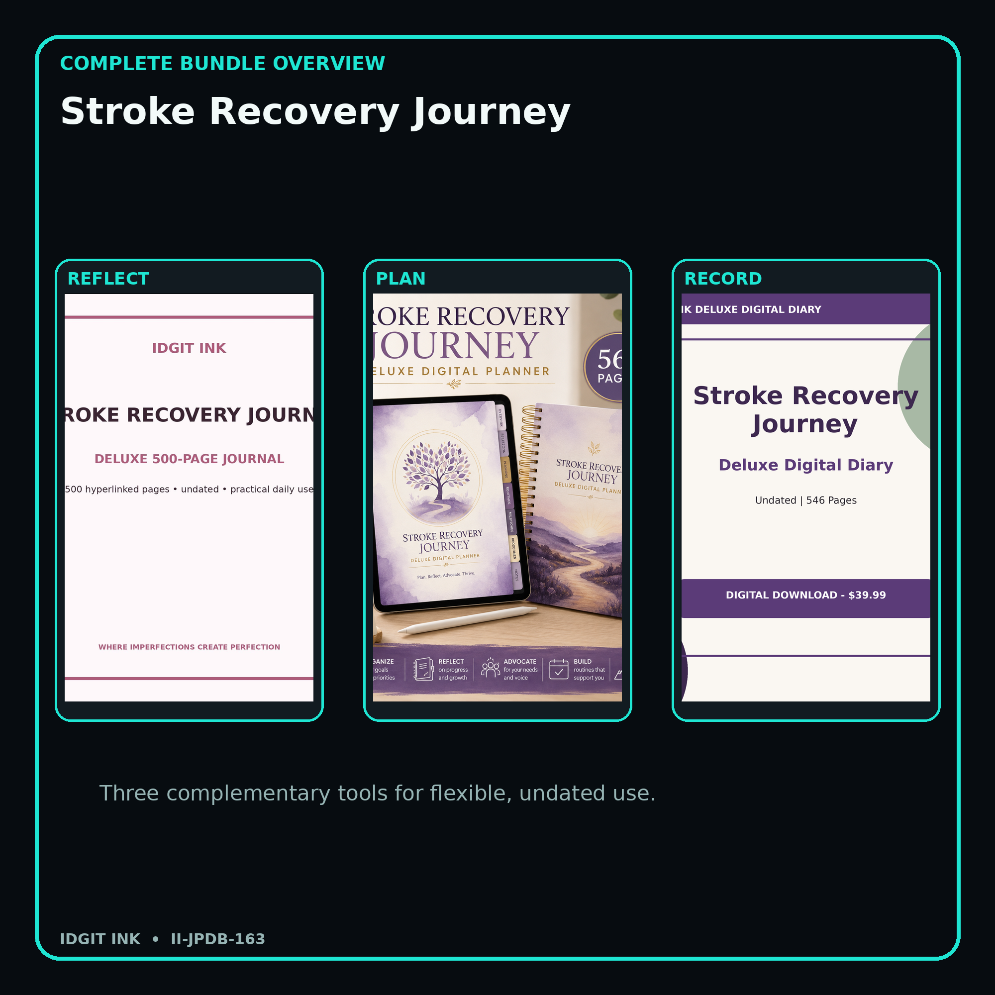 Stroke Recovery Journey complete three-product digital bundle overview